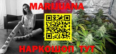 прущие грибы Бердск