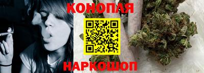 прущие грибы Бердск