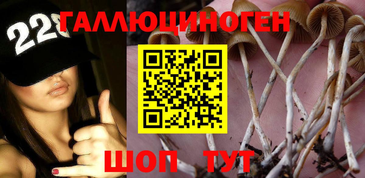 Лесозаводск  где продают   Вход с VPN  Галлюциногенные грибы MAGIC MUSHROOMS 